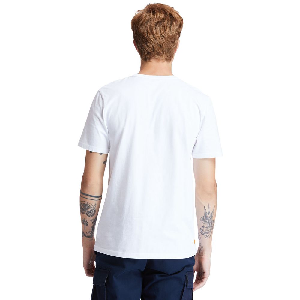 Camisetas Masculino - Timberland Kennebec River Tree-Logo - WLFHN4618 - Branco